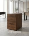 Archivero 2G