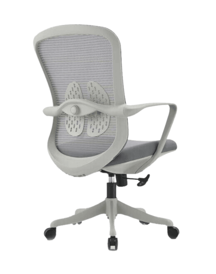 Organic 1077 - Image 3