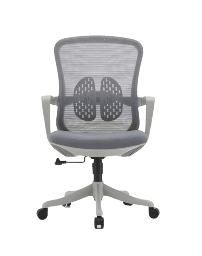 Organic 1077 - Image 4