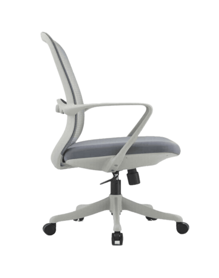 Organic 1077 - Image 2