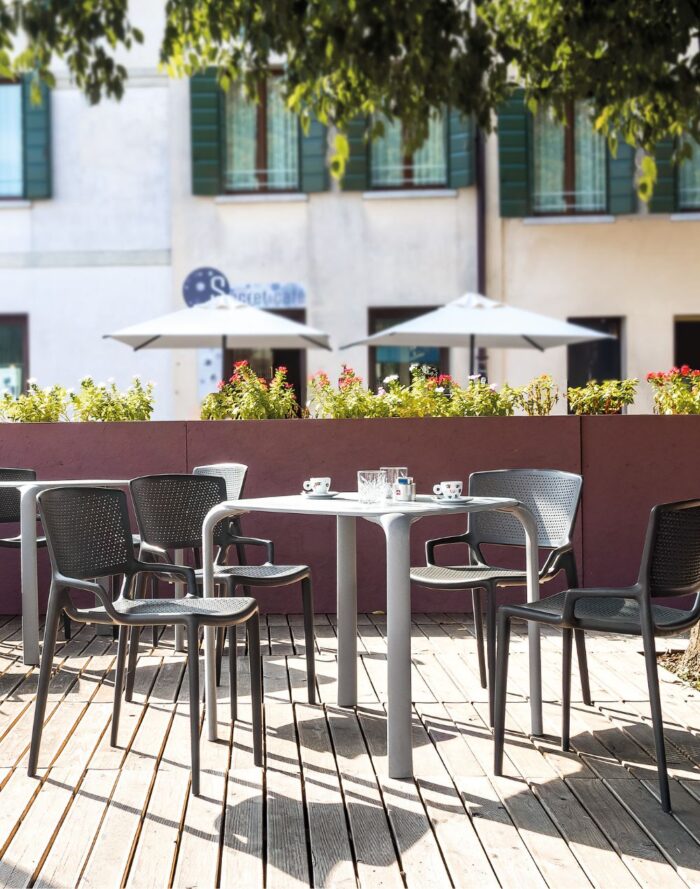 FIORELLINA - Image 4