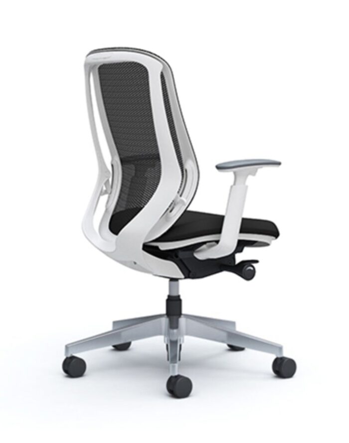 Sylphy Baja - Image 3