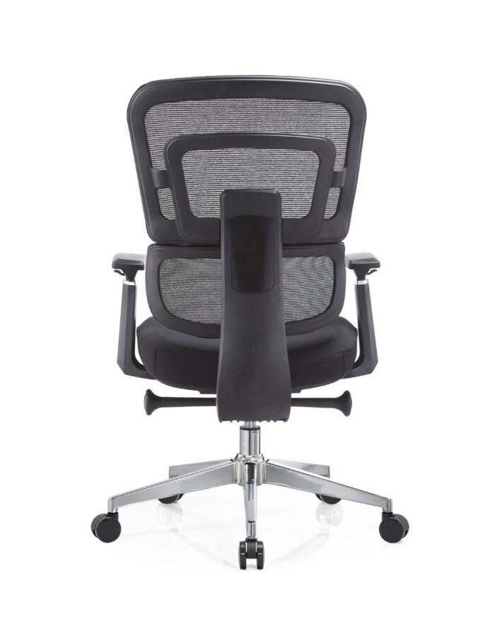 Zoe Bajo KC - Image 5