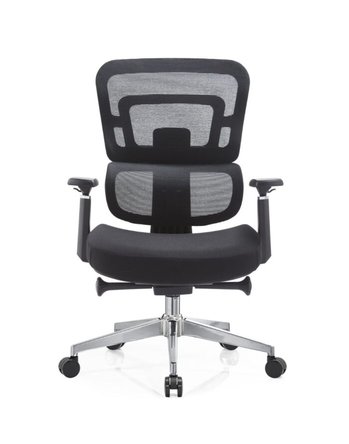 Zoe Bajo KC - Image 4