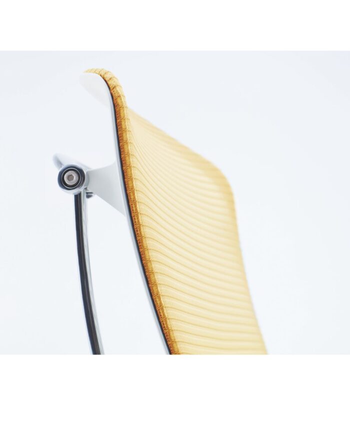 Contessa II - Image 5