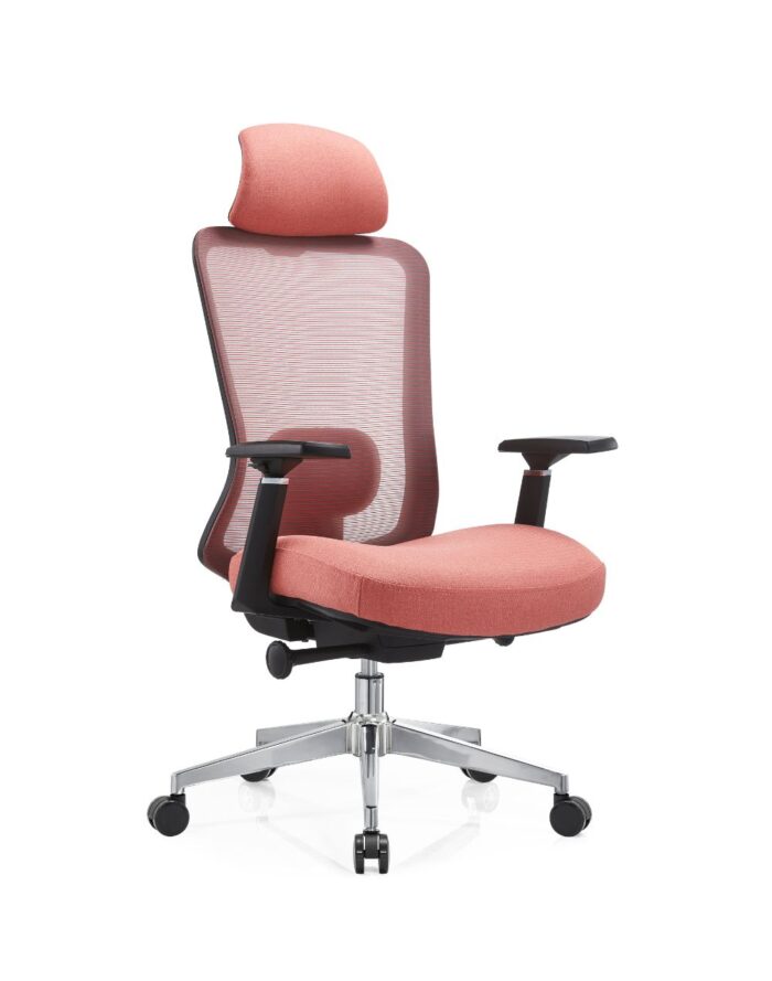 Bio Alto KC - Image 4