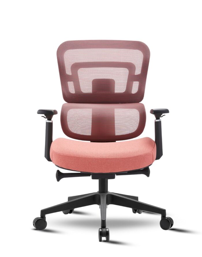 Zoe Bajo KN - Image 6