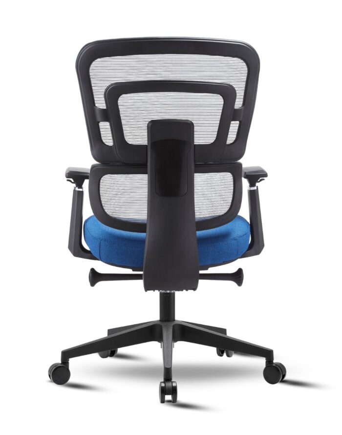 Zoe Bajo KN - Image 5