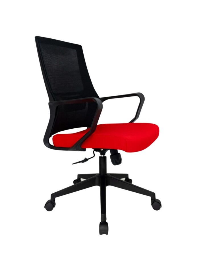 Zoom Baja KC - Image 2