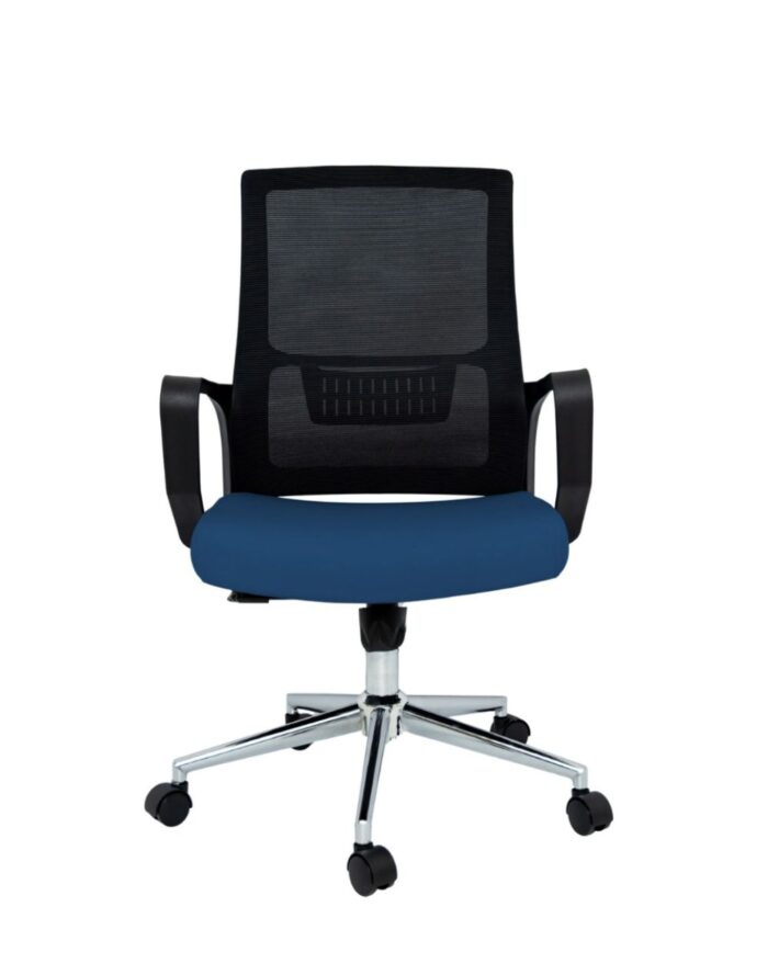 Zoom Baja KC - Image 4