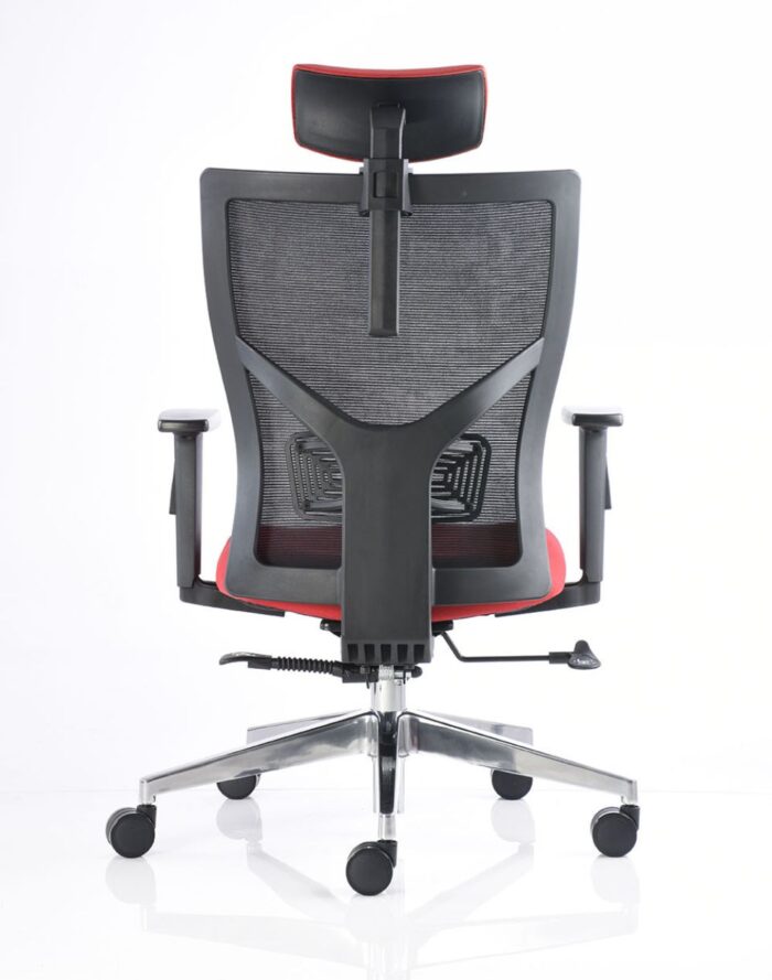 BM 3000 cc - Image 4