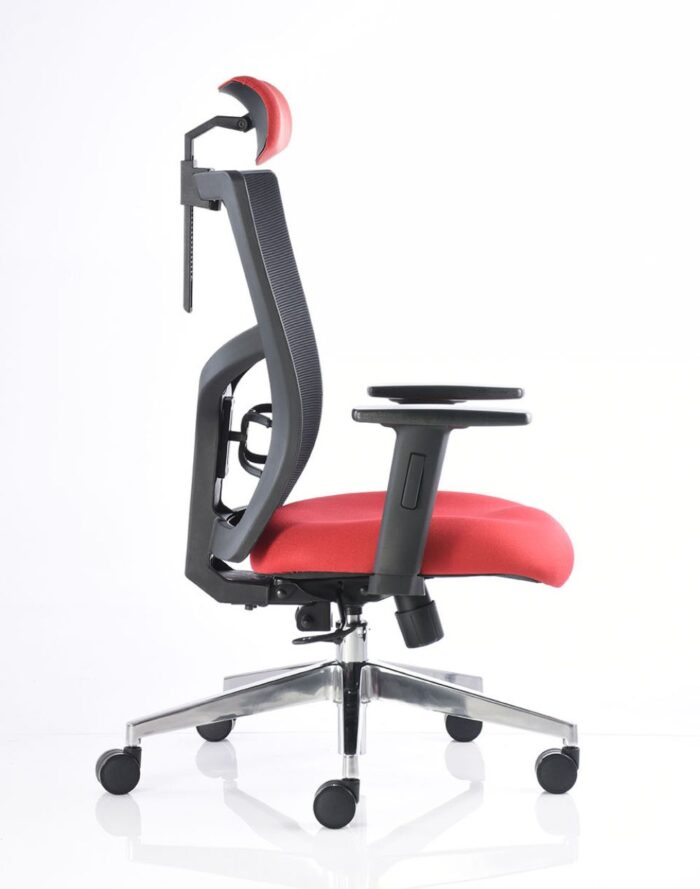 BM 3000 cc - Image 2