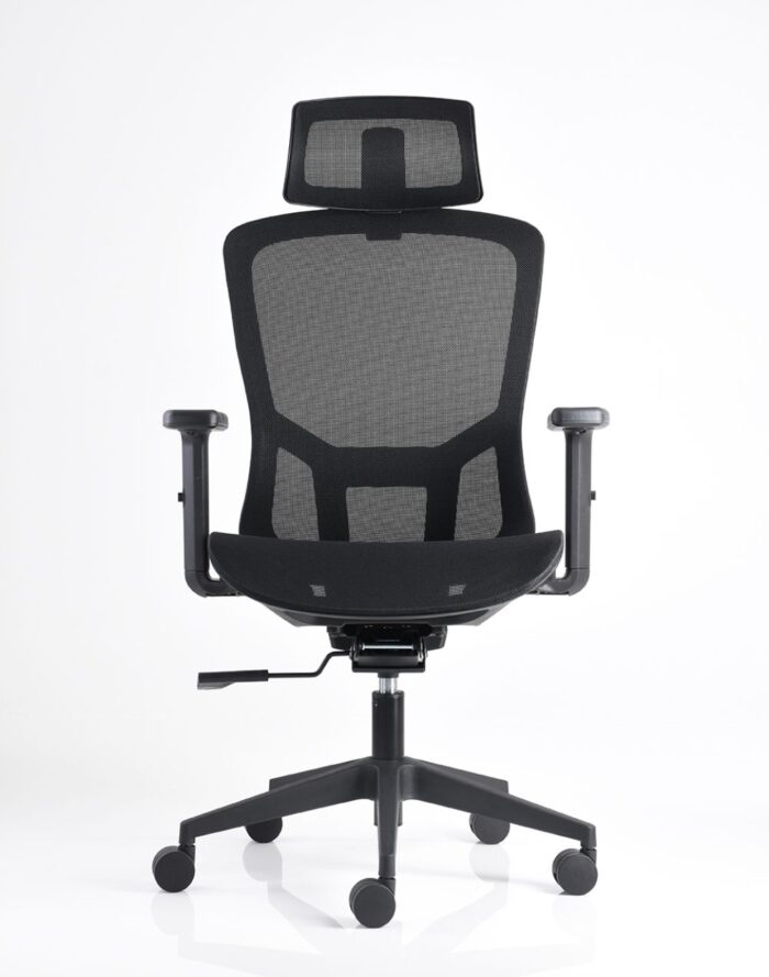 BM 8000 - Image 4