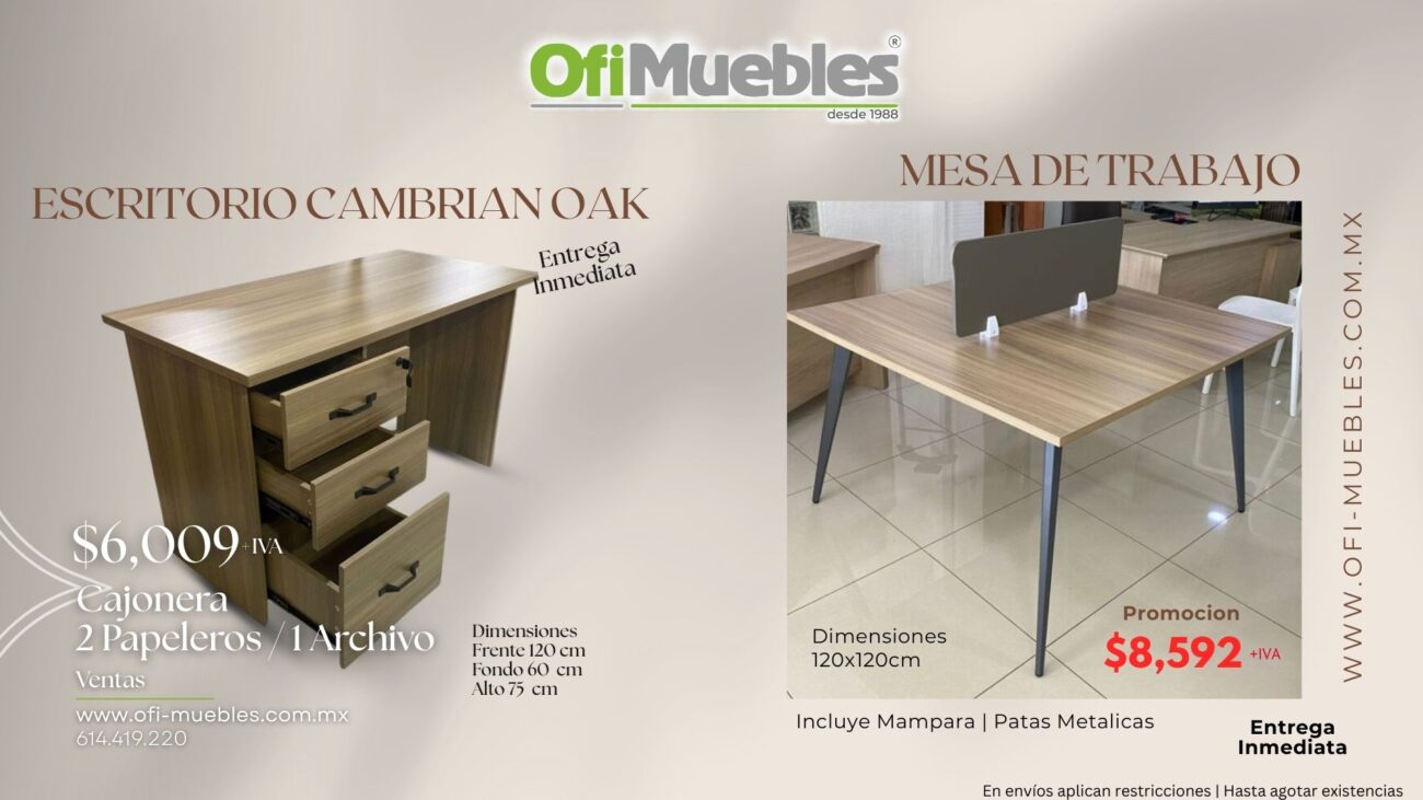 Promociones-OfiMuebles-Marzo-2026 2 (2)