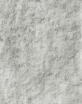 Atenea Cream