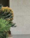 Atenea Cream - Image 2