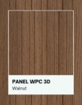 Walnut 3d