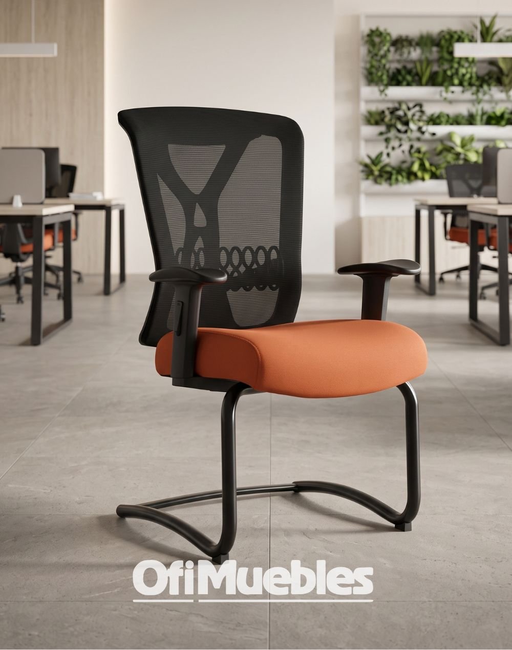 BM 9563 ambiente BM 9563 - Imagen 1